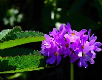 img_01
