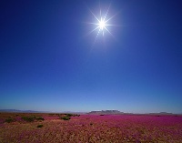 img_01