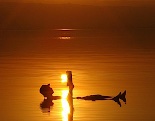 img_01