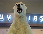 img_01