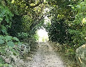 img_01