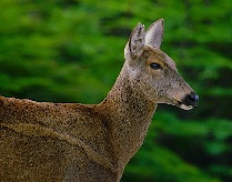 img_01