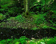 img_01