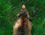 img_01