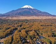img_01