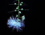 img_01