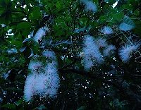 img_01