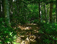 img_01